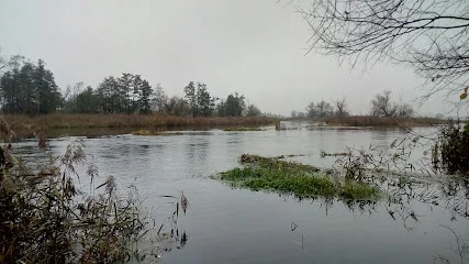 Nadwarciański Park Krajobrazowy